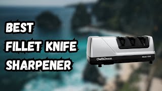 3 Best Fillet Knife Sharpener IN 2023 ✅ [upl. by Geof179]