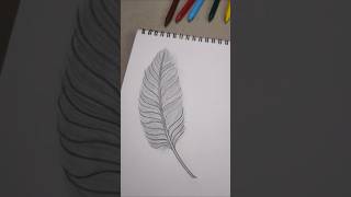 Feather sketch drawing [upl. by Anyale147]