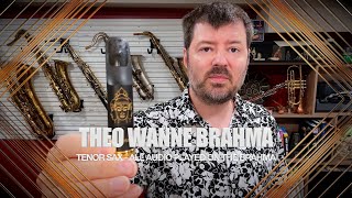 Testing Out Theo Wanne Brahma Tenor Saxophone [upl. by Alyt864]