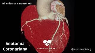 Anatomia Coronariana  Aprenda com uma angiotomografia em 3D [upl. by Ecilahs421]