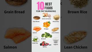 10 Best Foods For Fat Burniing [upl. by Atsylak]