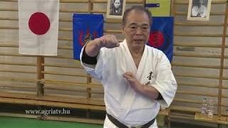 Yoshio Kuba 10 dan Okinawa Goju Ryu  Eger 2019 [upl. by Inait]