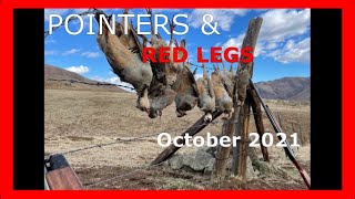 2021 October Chukar Hunt Pointers amp Red Legs 102021 S1E2 [upl. by Hepza738]