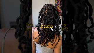 loc curls results loccurls locjourney locs trinoftrades [upl. by Adelaide]