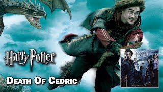 Death Of Cedric  Harry Potter Et La Coupe De Feu HQ [upl. by Ichabod]