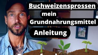 Buchweizensprossen Superfood  deswegen esse ich sie jeden Tag Schützt das HerzKreislaufSystem [upl. by Damalis]