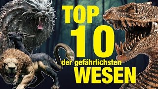 TOP 10 der GEFÄHRLICHSTEN TIERWESEN aus Harry Potter 💀 [upl. by Aznarepse]