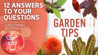 Common garden tips  Your questions our answers  Gardening Australia [upl. by Liuqa]