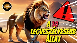 A 10 legveszélyesebb állat [upl. by Llennhoj]