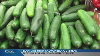 Texas woman dies connected to salmonella outbreak in cucumbers [upl. by Ennovyhs]