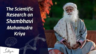 The Scientific Research on Shambhavi Mahamudra Kriya  Sadhguru [upl. by Bolme]