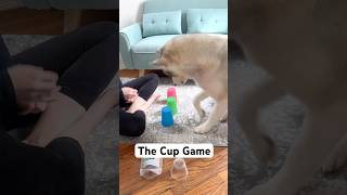 The Cup Game  Mental Stimulation Activity for Dogs [upl. by Aloke990]