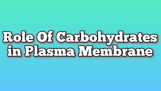 Role of Carbohydrates in Plasma Membrane  Glycoproteins  Glycolipids  Cytology  Cell Biology [upl. by Christmas528]