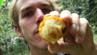 THAILAND VLOG  fruitarian in JUNGLE [upl. by Gibb]