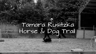 Tamara Rusitzka  Horse amp Dog Trail [upl. by Patterman260]