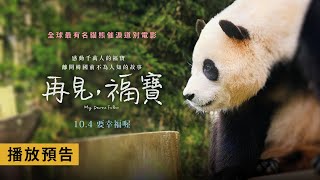 年度動人鉅獻【再見，福寶】My Dearest Fu Bao 電影預告 全球最有名貓熊「福寶」催淚道別電影！104五要幸福喔！ [upl. by Reehsab]