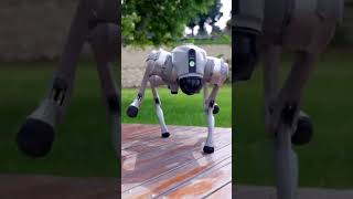 Unitree Go2 Quadruped Robot [upl. by Stinson]