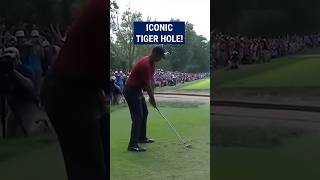 Tiger Woods final round MASTERY 😱 [upl. by Silyhp]