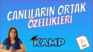 CANLILARIN ORTAK ÖZELLİKLERİ FULL TEKRAR TYT 2025 [upl. by Irehc]