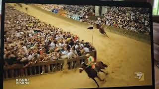 palio di siena July 2 2023 SELVA [upl. by Lewin]