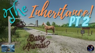 The Inheritance PT 2 Baby Animal  The White Farm  Farming Simulator 22  FS22 [upl. by Ole110]