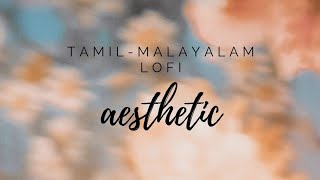 aesthetic tamil malayalam lofi songs to relax 🎧 [upl. by Htrag]