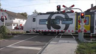 Bahnübergang Sinsheim Elsenz Reihen quotZum GänsegartenSägmühlwegquot [upl. by Aivan]