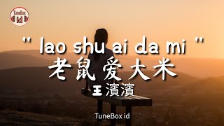 lao shu ai da mi 老鼠爱大米 Cover Wang Binbin 王濱濱  Lirik Lagu  Lyrics  Yang Chengang 杨臣刚 [upl. by Elleirbag]