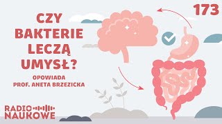 Psychika a mikrobiota  czy jelita to naprawdę drugi mózg  prof Aneta Brzezicka [upl. by Garreth]