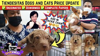 TIENDESITAS PET VILLAGE CATS AND DOGS PRICE UPDATE  GRABE ANG LAYO NG PRICE SA ARRANQUE PET SHOP 😁🤤 [upl. by Adaurd495]