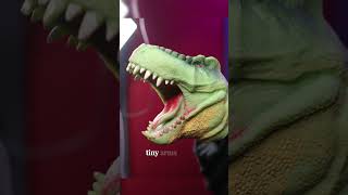 Send your hugs in poem trex puppet arms comdey narrator [upl. by Nilyac740]