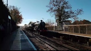 45596 Bahamas Rolls through Beltring on the Armistice Day Kentish Belle 11112023 [upl. by Rosenblast]