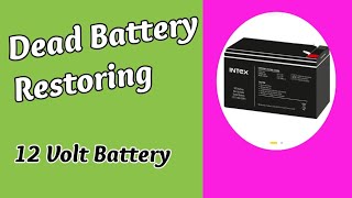 12 Volt Battery RepairUps Battery Restoring [upl. by Ettelimay997]