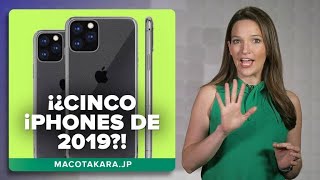 ¿Llegarán 5 iPhones en el 2019 [upl. by Eedrahc]