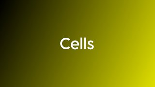 Cell Cycle 02  Vishmi Wanniarachchi [upl. by Ibby]