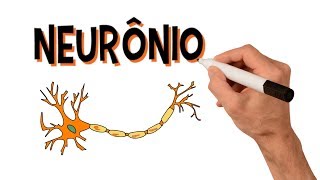 ✅ NEURÔNIOS e NEUROTRANSMISSORES  Estrutura [upl. by Ahsitak308]