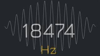 1Hz to 22000Hz frequency generator human audio spectrum suara pembersih speaker hp [upl. by Jeannine]