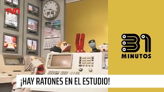 ¡Tenemos ratones en el estudio  31 Minutos [upl. by Conway]