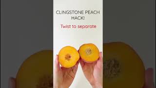 CLINGSTONE PEACH HACK  How to Cut MessFree shorts [upl. by Elodie304]