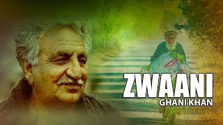 Ghani Khan Ghazal  Na Ba Tool Umar Zwaani We by Moiz Khan [upl. by Patty539]