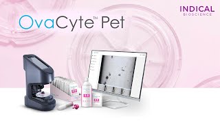 OvaCyte Pet Workflow [upl. by Eskil630]