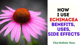 How I Use Echinacea [upl. by Sophi819]