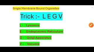 ✨Single Membrane Bound Organelles Trick by Intelligent Aadi [upl. by Ardiekal]