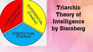 Triarchic Theory of Intelligence by Robert Sternberg [upl. by Tnahsarp587]