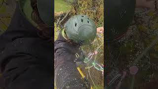 Hanging around Tree climbing with an Arborist [upl. by Buchalter701]