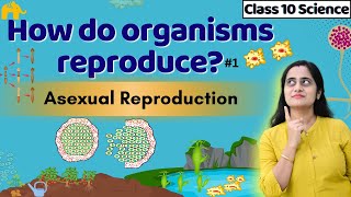 How do Organisms reproduce Class 10th CBSE  Part 1  Asexual Reproduction  NCERT Chapter 7 [upl. by Strickman]