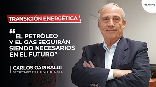 Entrevista a Carlos Garibaldi Secretario Ejecutivo de Arpel [upl. by Hermosa]