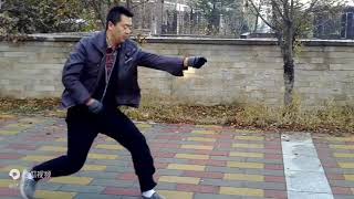 Xing Yi Quan Hsing I Chuan 形意拳五行拳 Hình ý quyền 5 elements [upl. by Kingdon]