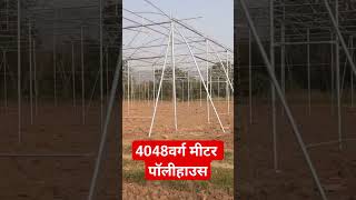 polyhouse construction  polyhouse farming in india rajasthan  polyhouse farming in israel polyho [upl. by Yattirb]