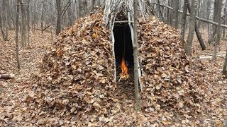 BUSHCRAFT FOREST GROUP SHELTER [upl. by Odanref306]